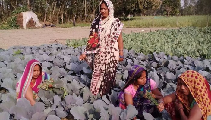 बाराबंकी: घर की दहलीज लांघ बन गईं सबकी ‘दीदी’, सूरतगंज ब्‍लाक में 13 हजार से ज्‍यादा मह‍िलाएं स्‍वावलंंबी