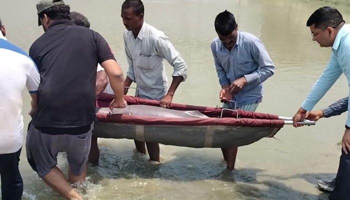 बाराबंकी में तीन दिन बाद मादा डॉल्फिन का हुआ रेस्क्यू, तीन दिन पहले नर डॉल्फिन की बचाई गई थी जान