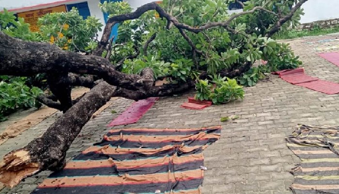 चित्रकूट के पूर्व माध्यमिक विद्यालय में बड़ा हादसा, पेड़ गिरने से दब गए एक दर्जन बच्चे, सीएम ने लिया संज्ञान