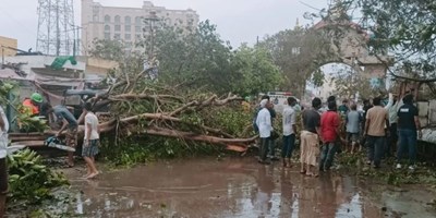 बिपरजॉय ने 500 घरों को किया तबाह, 800 पेड़ भी उखड़े, NDRF ने बताई तूफान के बाद की कहानी