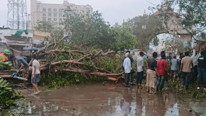 बिपरजॉय ने 500 घरों को किया तबाह, 800 पेड़ भी उखड़े, NDRF ने बताई तूफान के बाद की कहानी