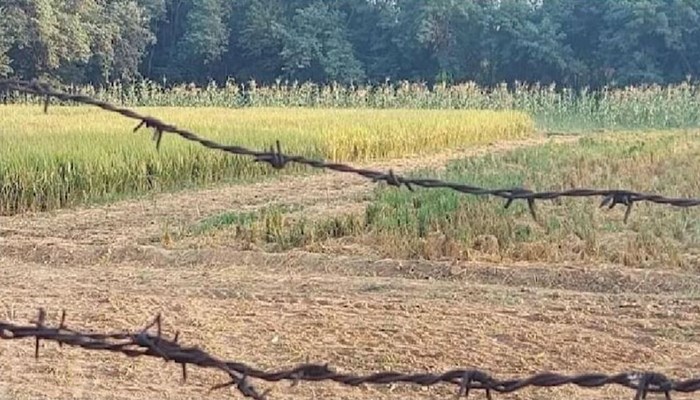 यूपी सरकार का बड़ा फ़ैसला, खेत में लगाया कंटीला तार तो जाना पड़ेगा जेल, पढ़े पूरी खबर