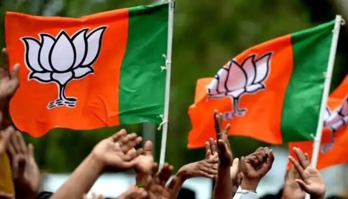 UP MLC Election 2022 Result: 33 सीटों पर बीजेपी की बंपर जीत, 3अन्य; इस बार ये नेता बने हैं एमएलसी...