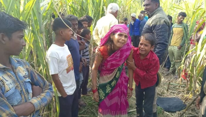 सीतापुर: पेड़ बिक्री के विवाद में भाई ने अपने बेटों संग मिलकर सगे भाइयों को उतारा मौत के घाट