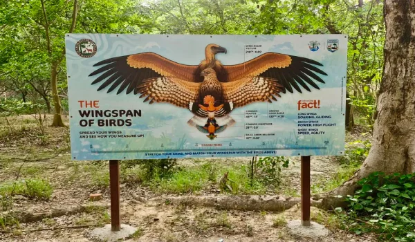 अब जंगलों के बीच सैर का मिलेगा नया ठिकाना, बाराबंकी का नियामतपुर ईको-टूरिज्म हब लगभग तैयार
