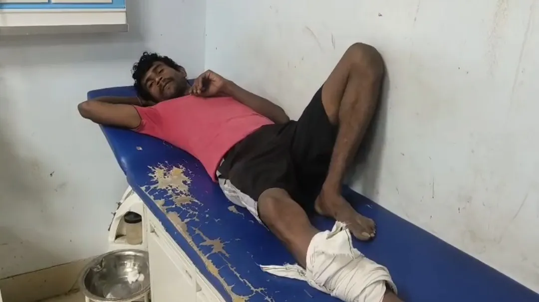 सांप ने काटा तो युवक ने सांप को ही पकड़ लिया, डिब्बे में बंद कर पहुंचा अस्पताल